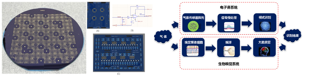 QQ20240620-152731.png